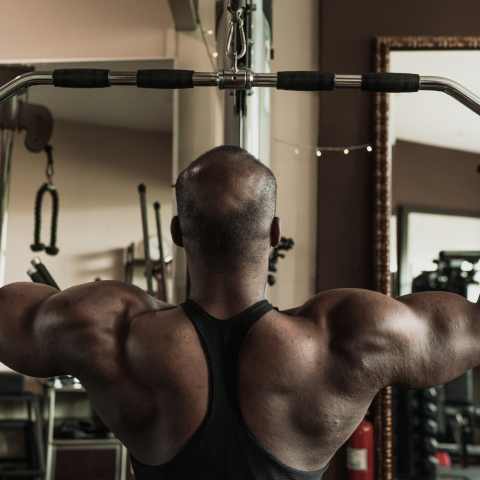 How To Ultimate Back Workout