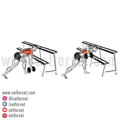 back workout with dumbbells