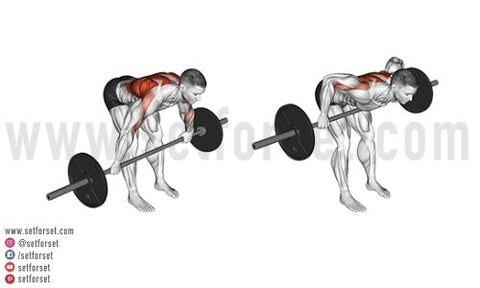 The Best Back and Shoulders Workout - SET FOR SET