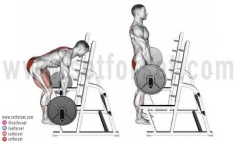 back workouts for strength