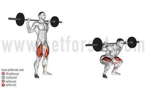 barbell back squat