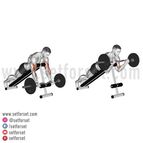 Barbell Spider Curl