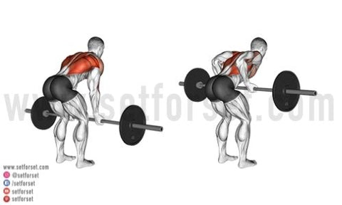 4 Best Lat Exercises with Bands (with Pictures!) - Inspire US