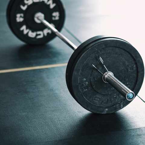 barbell price