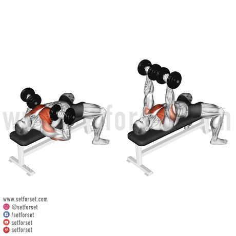 beginner dumbbell workout male