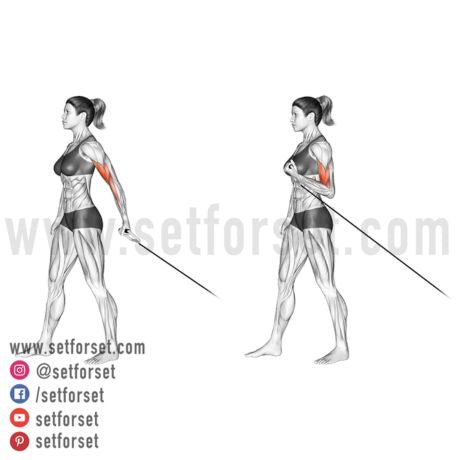 behind the back single arm curl