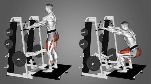 belted squat machine