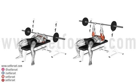Barbell Bench Press: Benefits, Muscles Used, and More - Inspire US