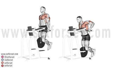 bench press workout routine