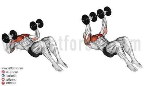 bench strength program