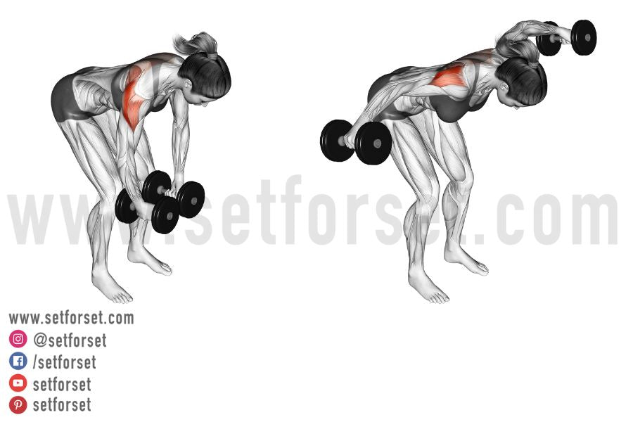 bent over rear delt raise