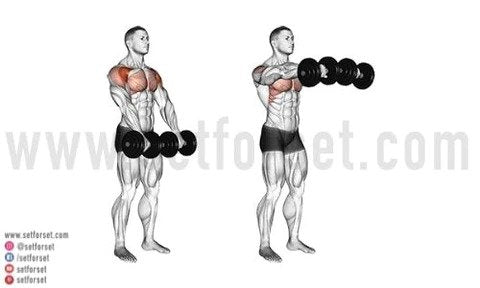 The Ultimate Shoulders & Arms Workout - SET FOR SET