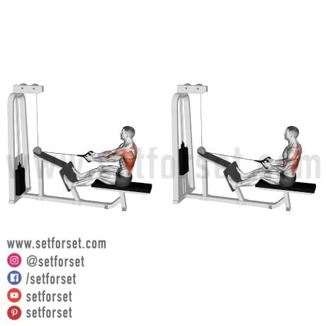 best back isolation exercise