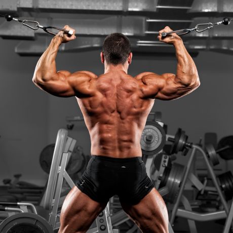 best bicep short head exercises