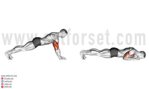 The Best Bodyweight Tricep Exercise (NO EQUIPMENT) 