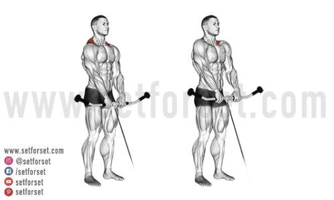 Best back exercises with cables