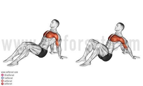 Open Arm Chest Stretch  Illustrated Exercise Guide