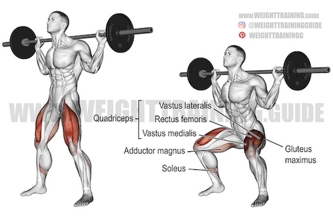 8 Compound Exercises & Lifts Every Workout Plan Needs - SET FOR SET