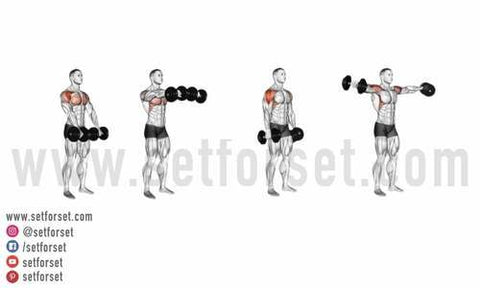 best dumbbell arm workouts