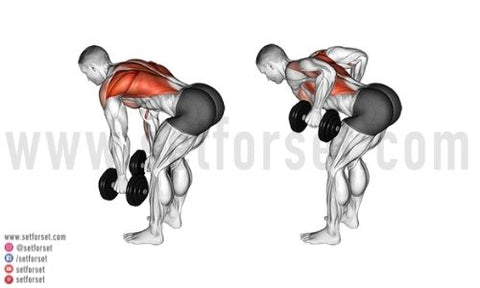 9 Best Dumbbell Back Exercises to Enhance Your Workouts - SET FOR SET