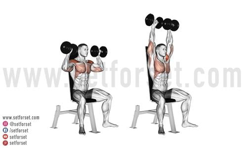 Overhead Press How To Muscles Worked Benefits And 11 Variations Set For Set