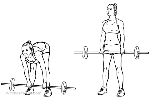 best exercises for glutes