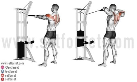 Best Exercises for a Thick Upper Back - SET FOR