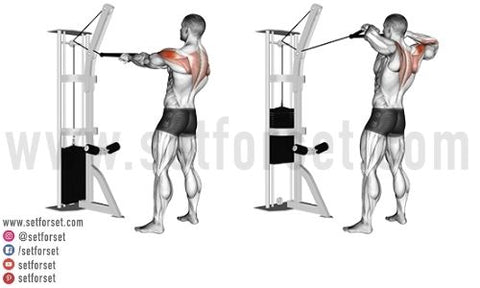 Upper Back Exercises Home