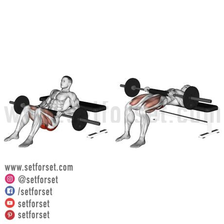 best glute isolation exercises