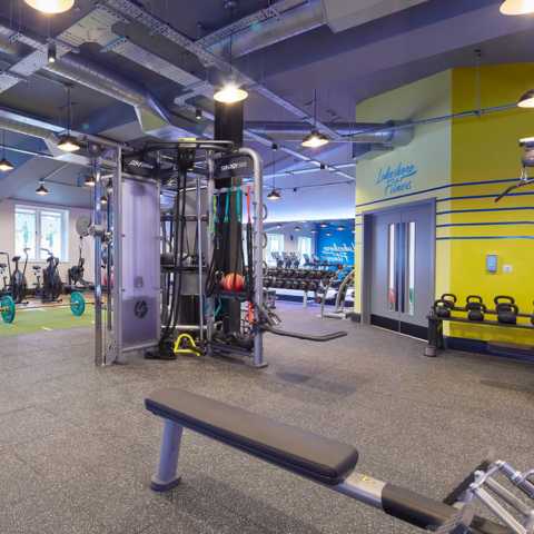 best gyms in chicago wicker park