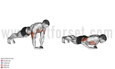 Developing The Back of Your Arm  Long Head Triceps Exercises