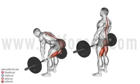 7 Best Exercises For Outer Thighs - SET FOR SET