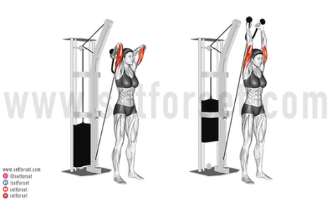 best tricep pushdown alternative