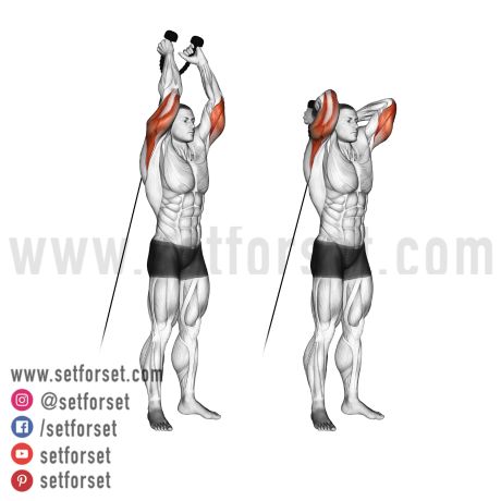 best triceps isolation exercise