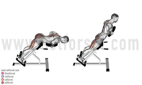 lower back training