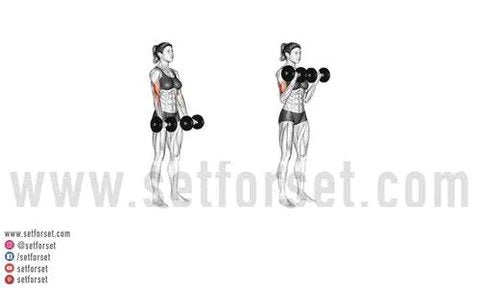 The Best Bicep Workouts For Women - SET FOR SET