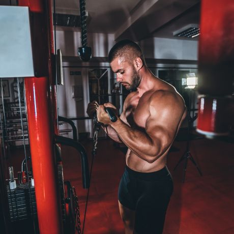 biceps cable curls