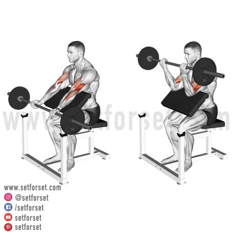 biceps exercises barbell