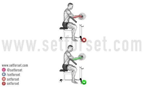 biceps preacher curl