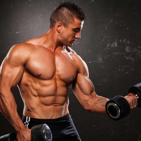 The Ultimate Guide to Building Big Biceps - SET FOR SET