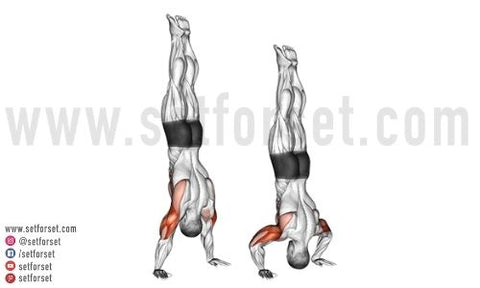 bodyweight deltoid exercises