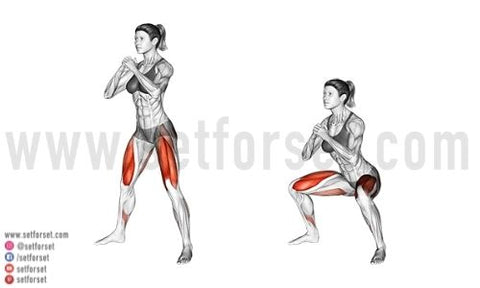 bodyweight squats