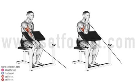 11 Best Cable Arm Exercises for Size & Strength - SET FOR SET