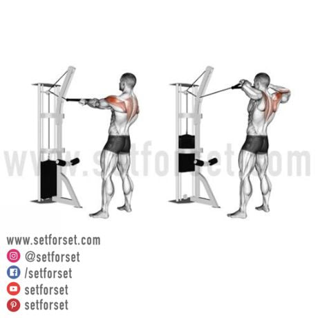 cable facepulls