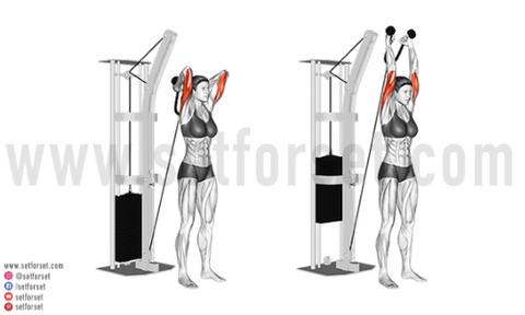 cable long head tricep exercises