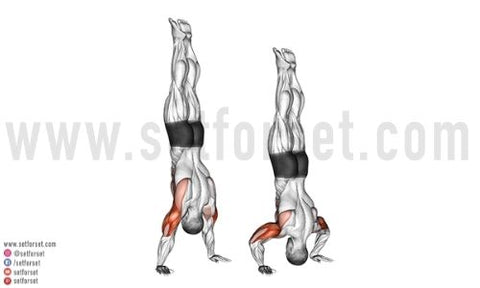 calisthenics workout no equipment