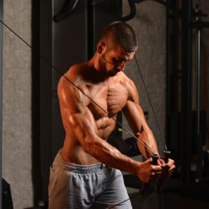 Chest workouts