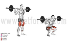 compound exercises vs isolation exercises