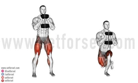 Dumbbell Lunges Muscles Worked