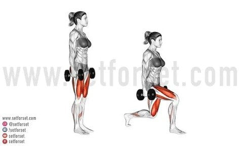 difference between split squat and lunge